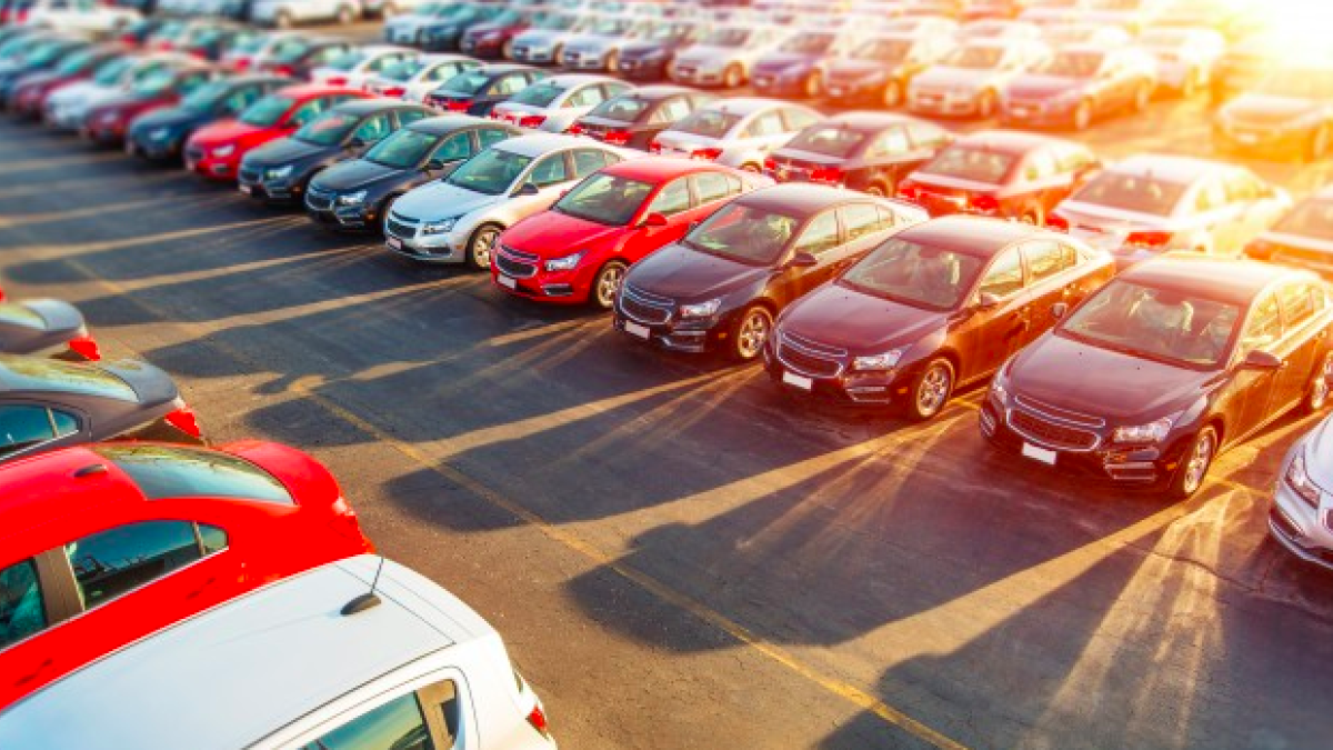 Multitud de coches expuestos en subasta.