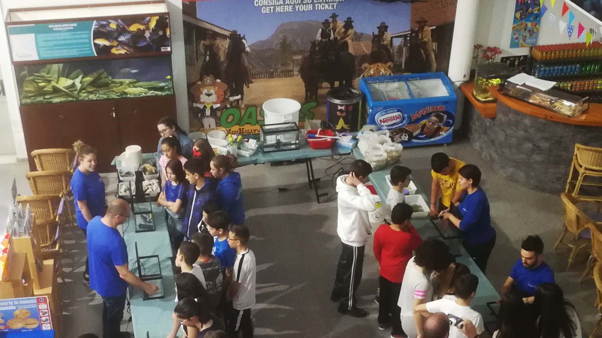 Los escolares disfrutan de la oferta del Aquarium.