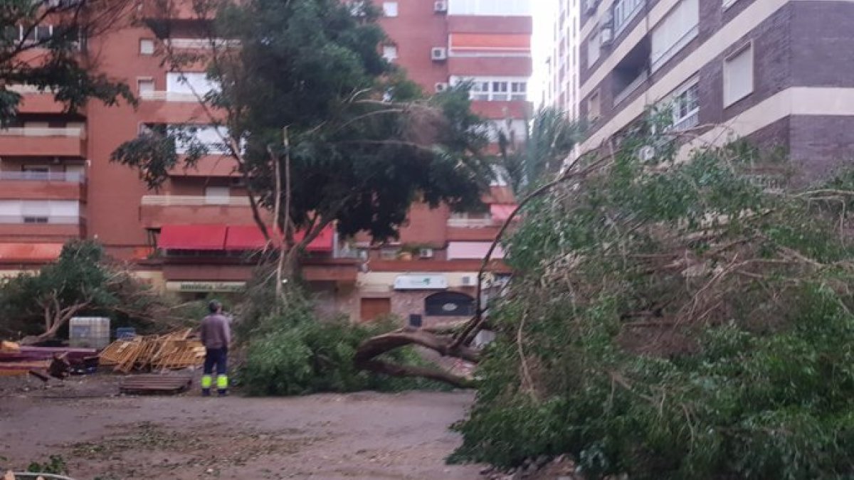 Imagen de la capital tomada por Carmen María Alcaraz.