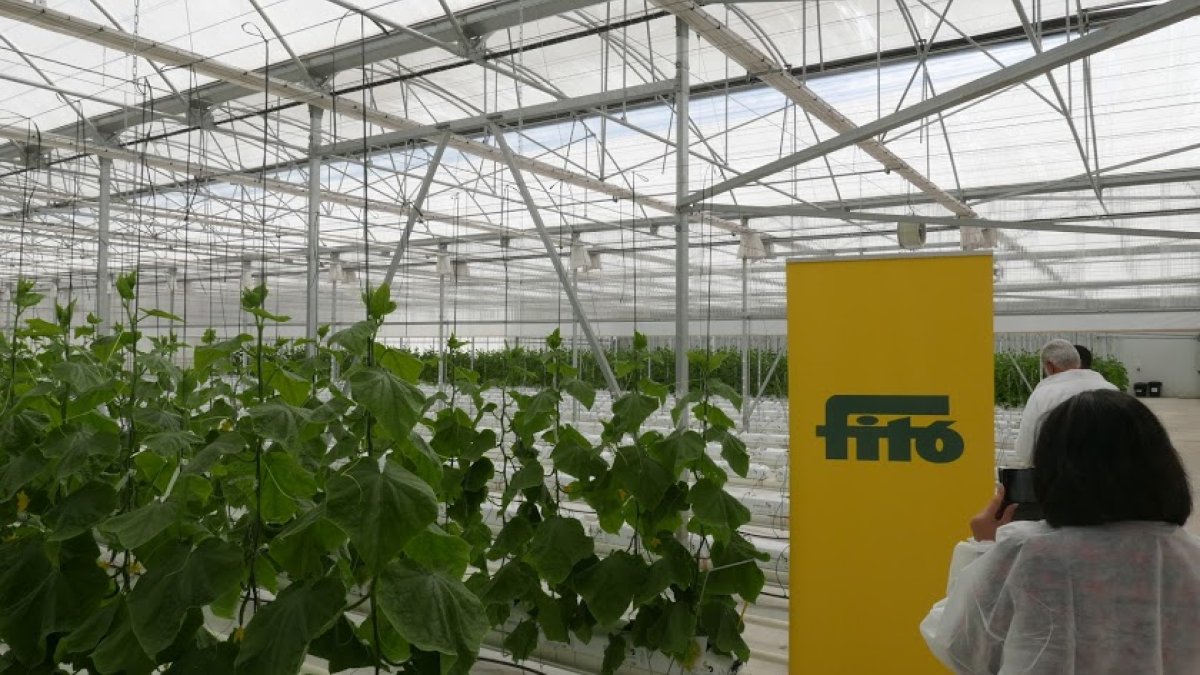 Instalaciones de Semillas Fitó.