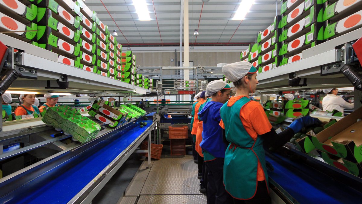 Mejorará el sistema de control de la productividad.