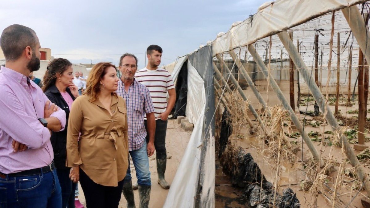 La consejera de Agricultura, Carmen Crespo, visitando zonas afectadas en la capital.