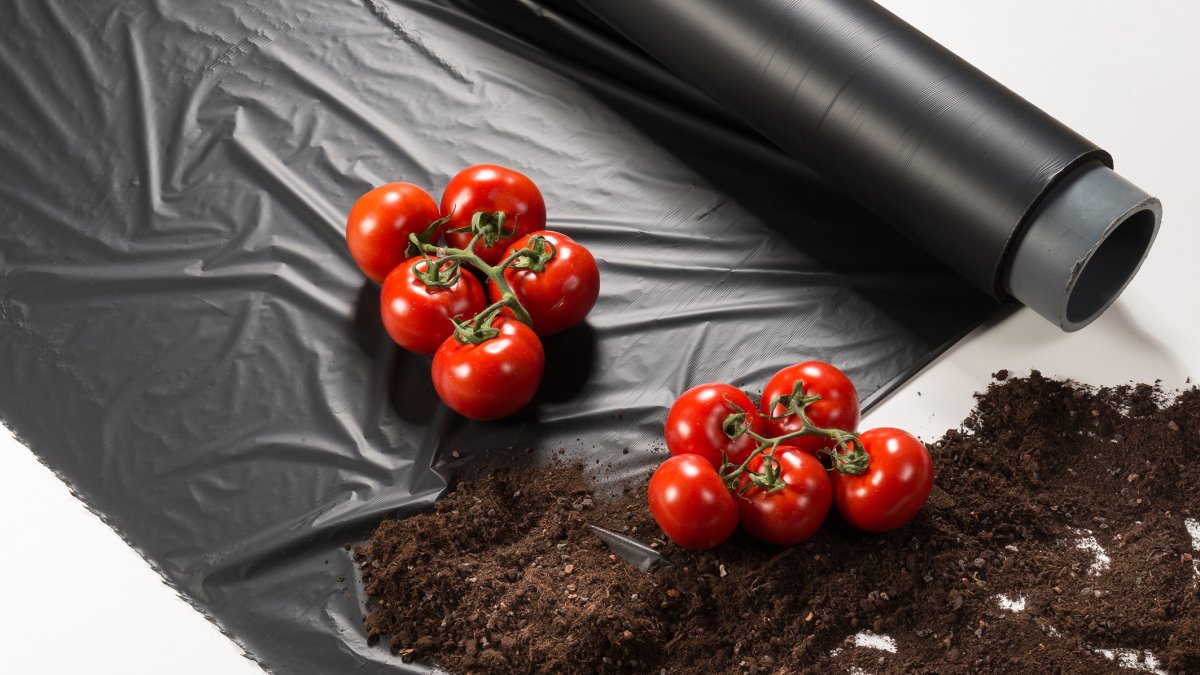 BASF, plástico biodegradable que mejora la producción.