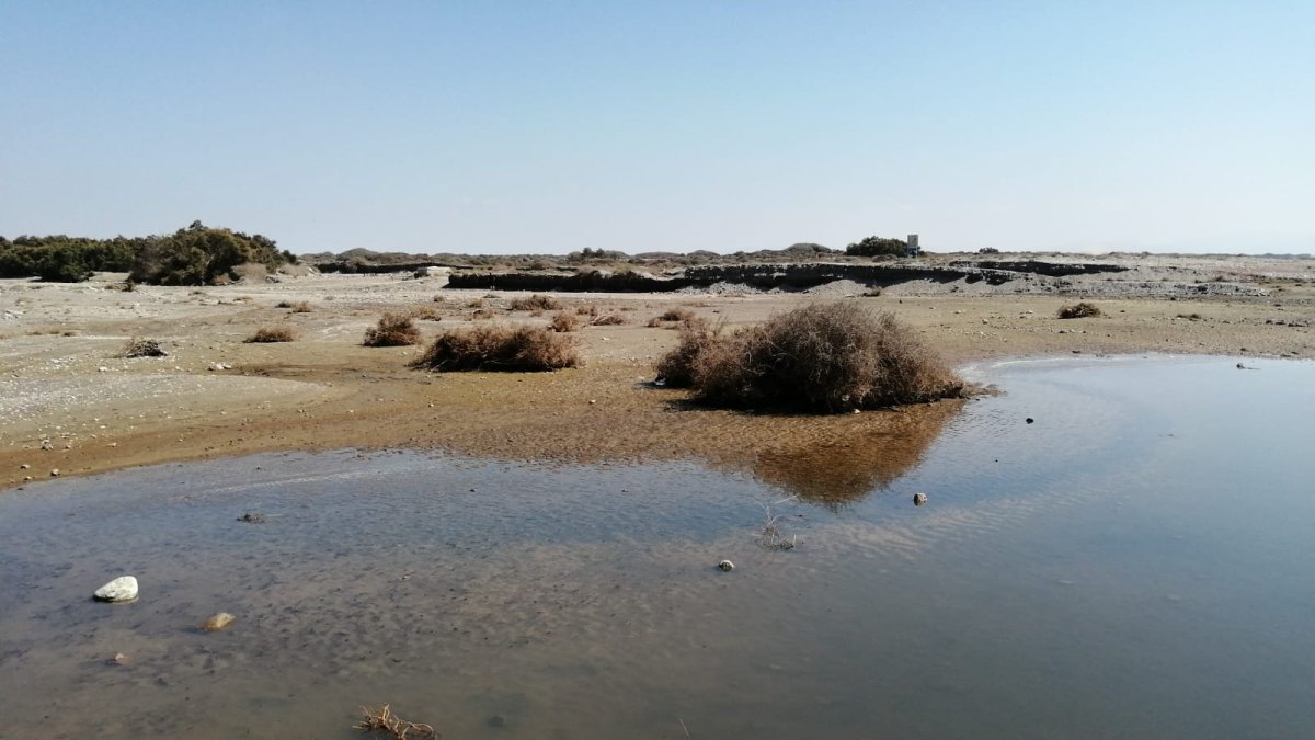 Laguna que se ha formado con basura y mosquitos.