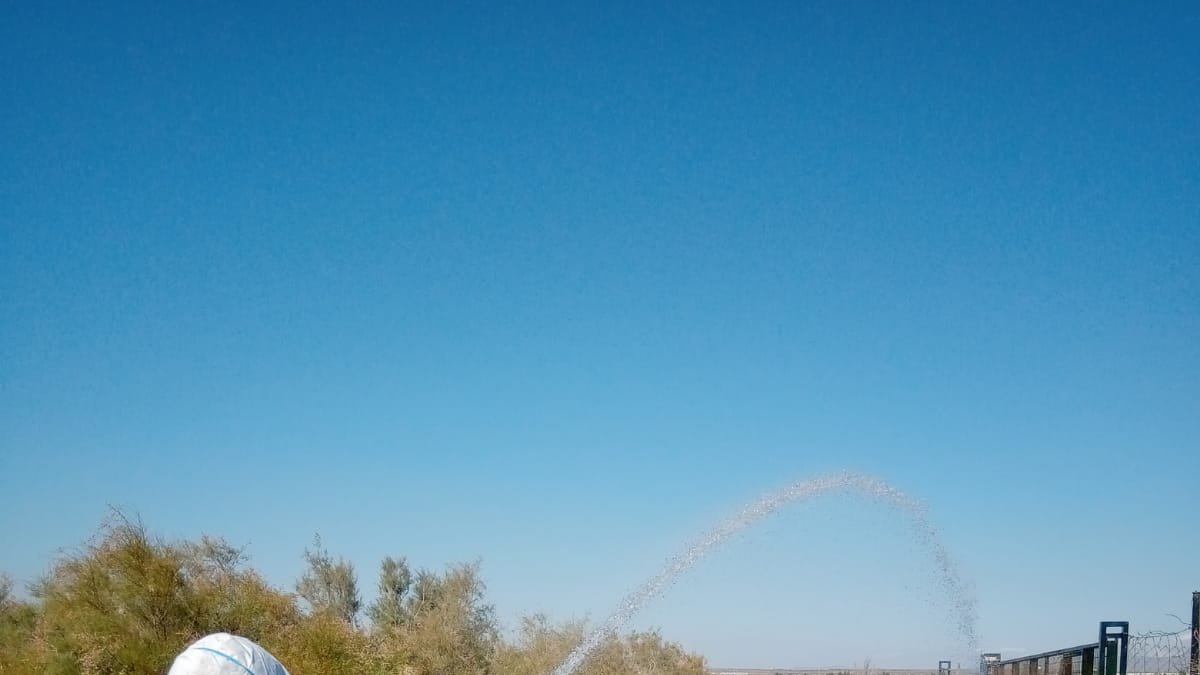 Trabajos de fumigación en zonas inundadas.