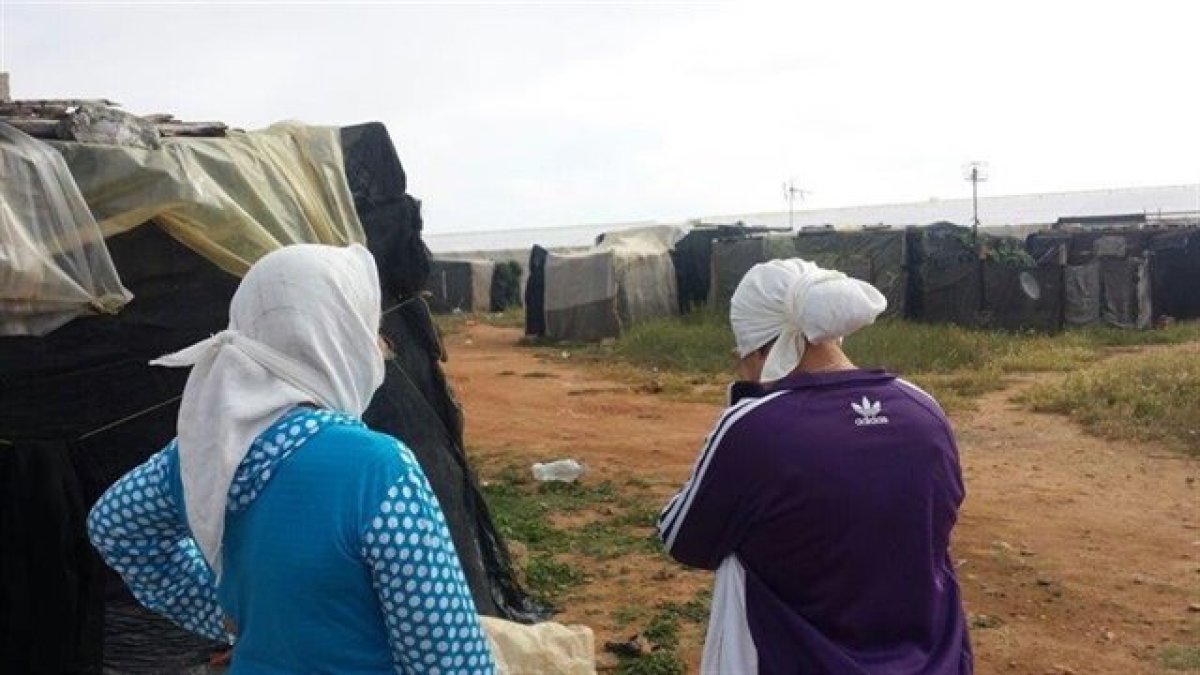 Imagen de archivo del asentamiento chabolista de Tierras de Almería en El Ejido.