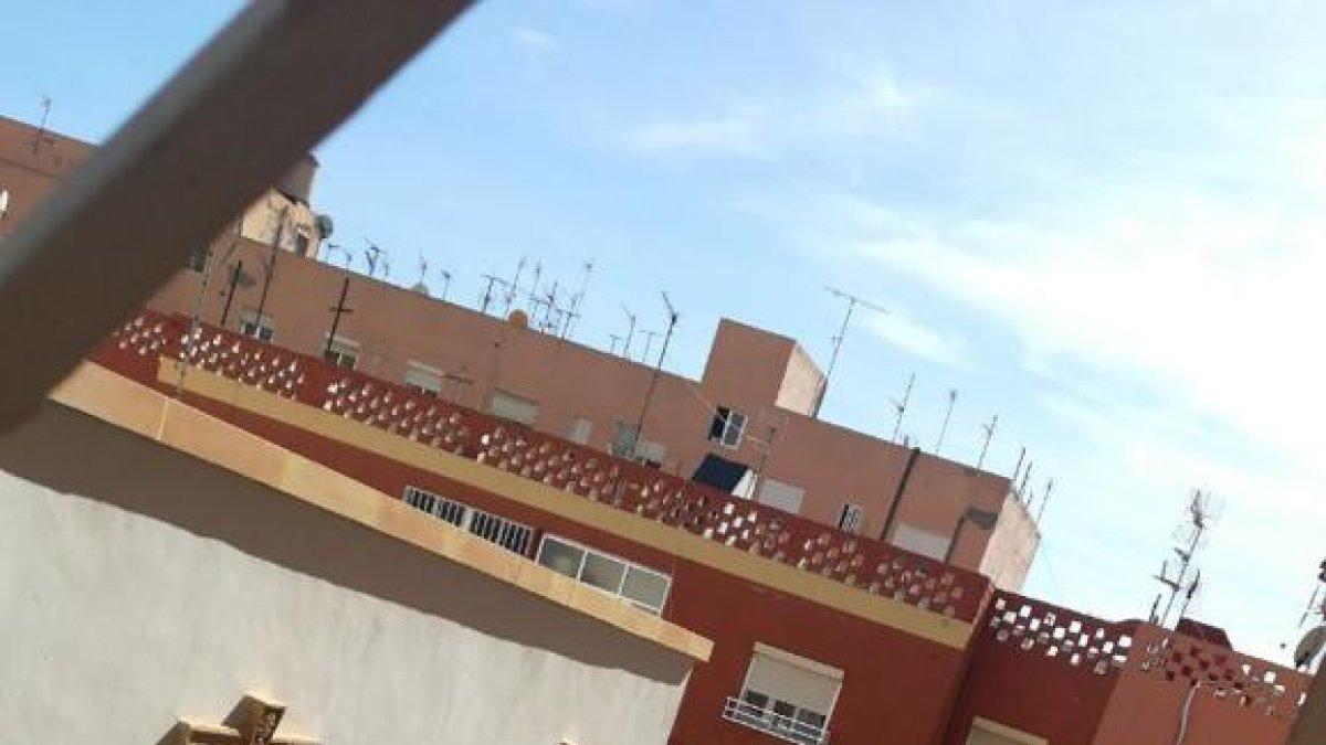 No ha habido que lamentar heridos tras el derrumbe del techo de la vivienda. (Foto y vídeo: David Martínez García)