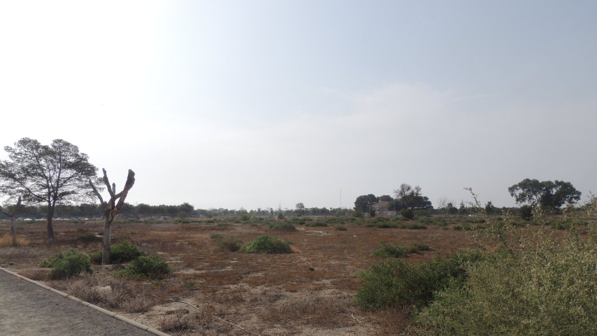 Terrenos donde iría la Academia Rozam.