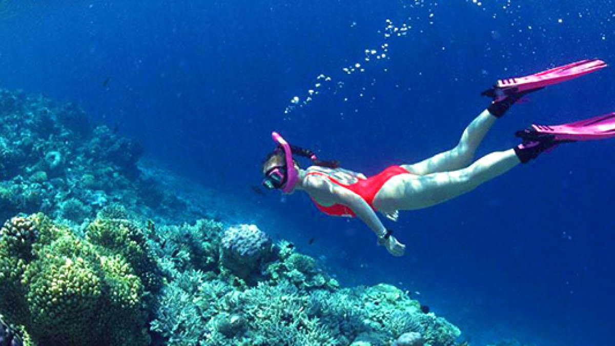 Snorkeling o buceo con tubo en Cabo de Gata.