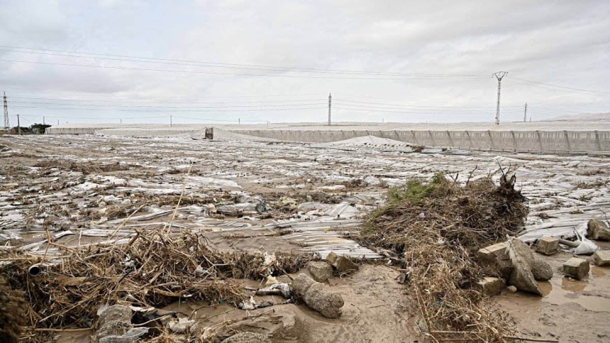 Invernaderos tirados por el temporal en la zona de San Isidro, en Níjar.