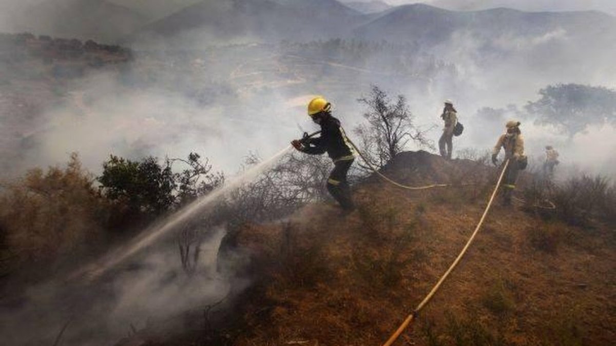 Imagen de archivo de agentes de Infoca durante una actuación.