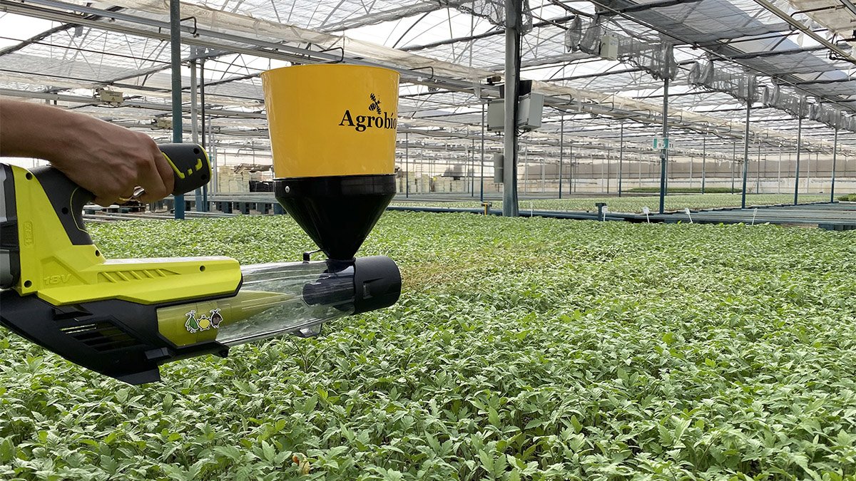 Dispositivo para la suelta de Nesidiocoris de Agrobío aplicado en semillero.