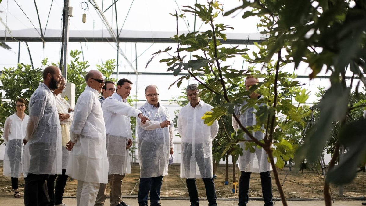Visita del rector y el presidente de Diputación al cultivo de higueras