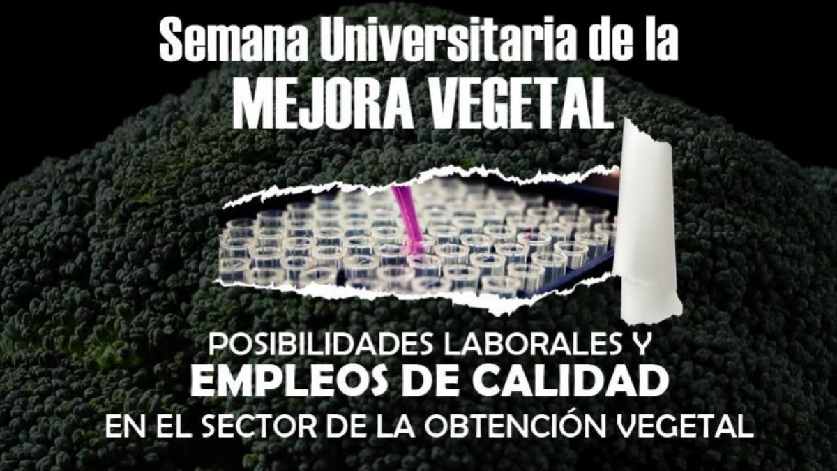 Cartel de las jornadas.