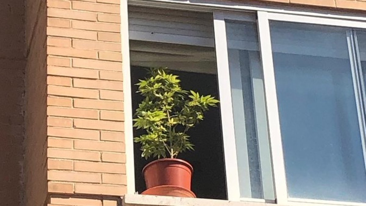 Imagen de la planta de la Policía Local de Ciudad Real. /Twitter