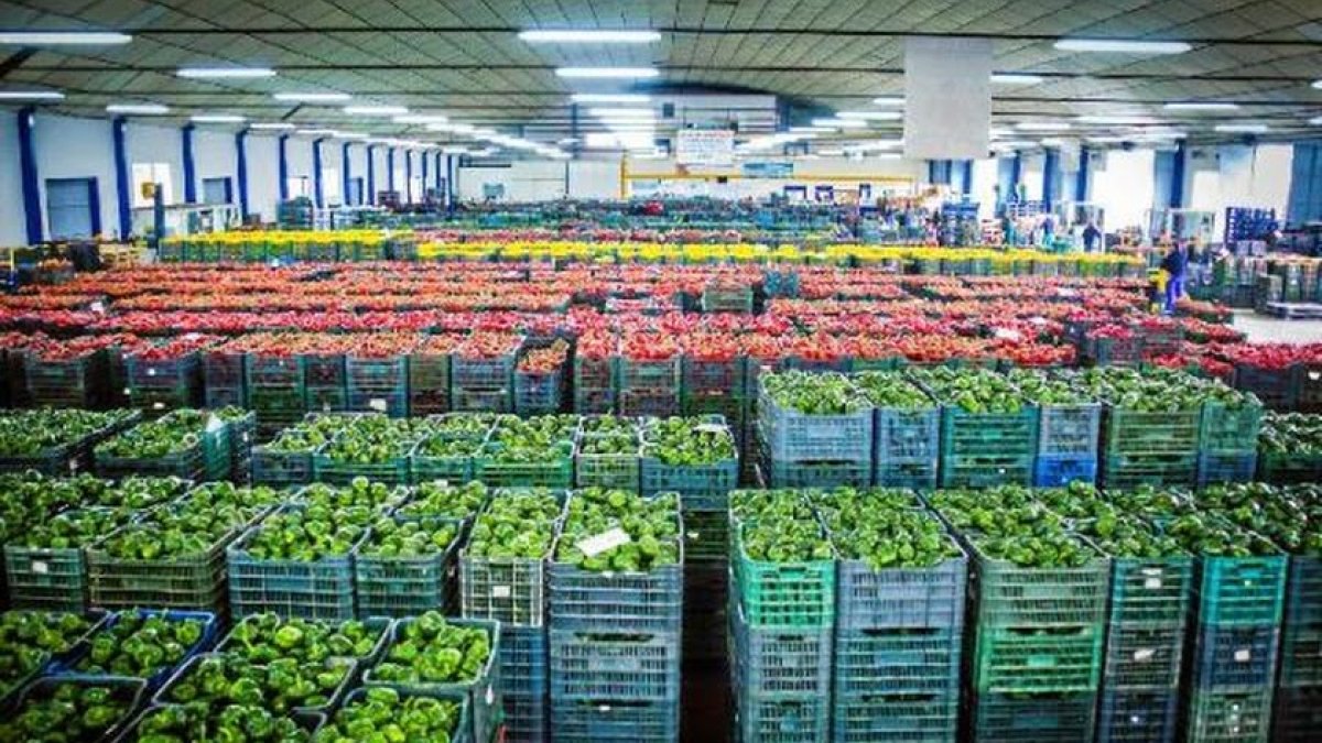 Almacén de pimientos.