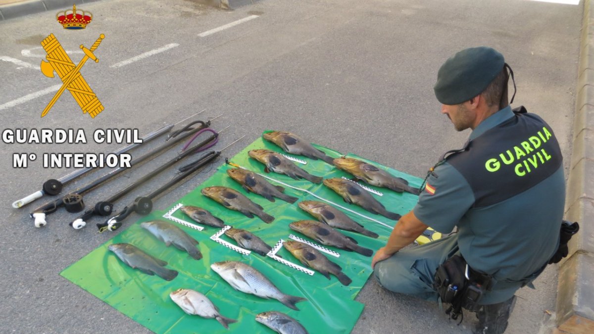 Especies capturadas ilegalmente en Cabo de Gata.