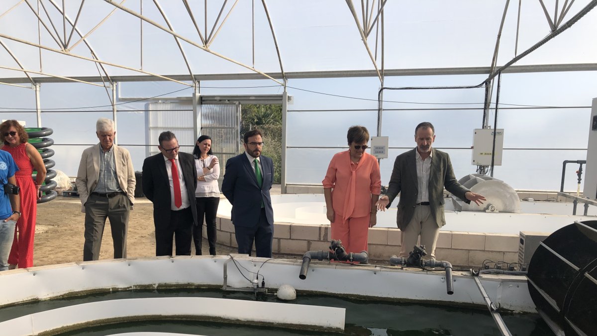 Visita a la planta de producción de microalgas de Biorizon Biotech