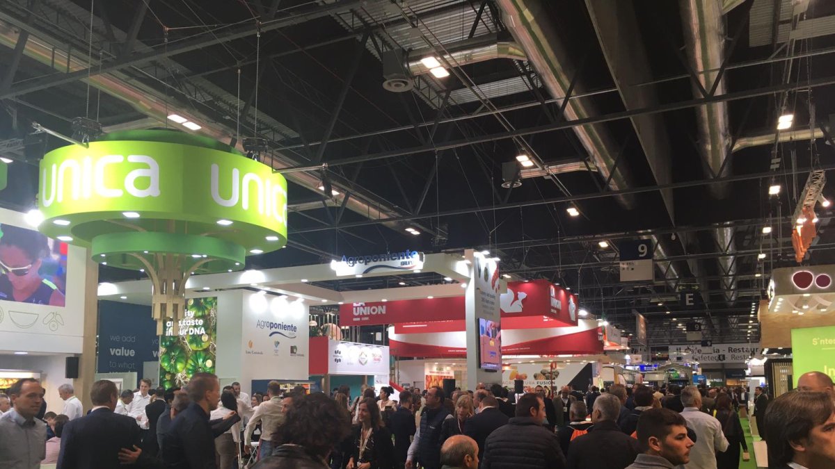 Multitud de asistentes recorren estos días los diferentes pabellones de Ifema.