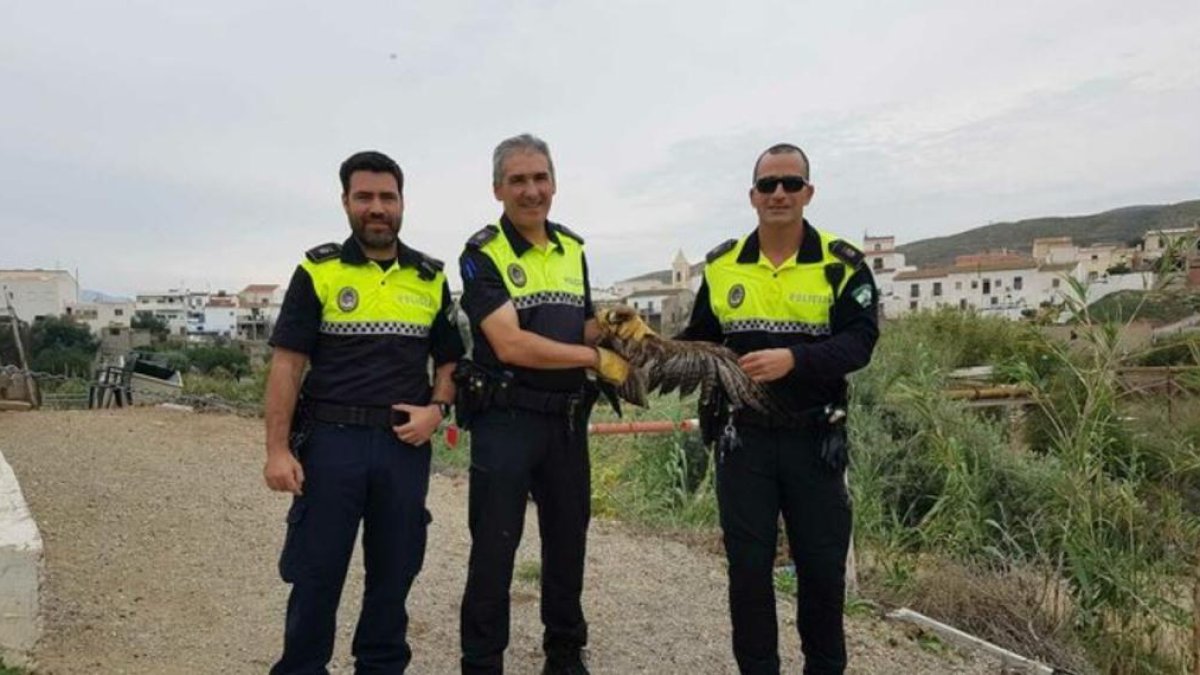 Agentes de la Policía Local de Los Gallardos con el ejemplar.