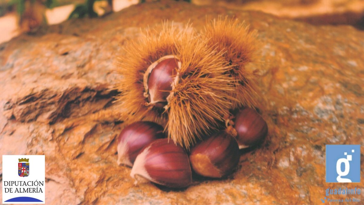 Cartel anunciador de la Fiesta de la Castaña de una edición anterio