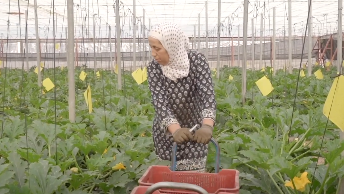 Captura de pantalla del vídeo de Al Jazeera.