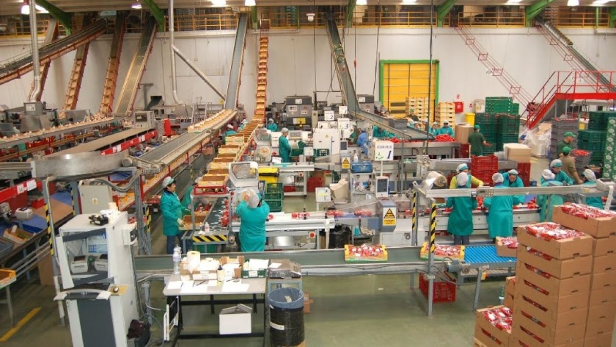 Imagen de archivo de mujeres trabajando en el sector del envasado.