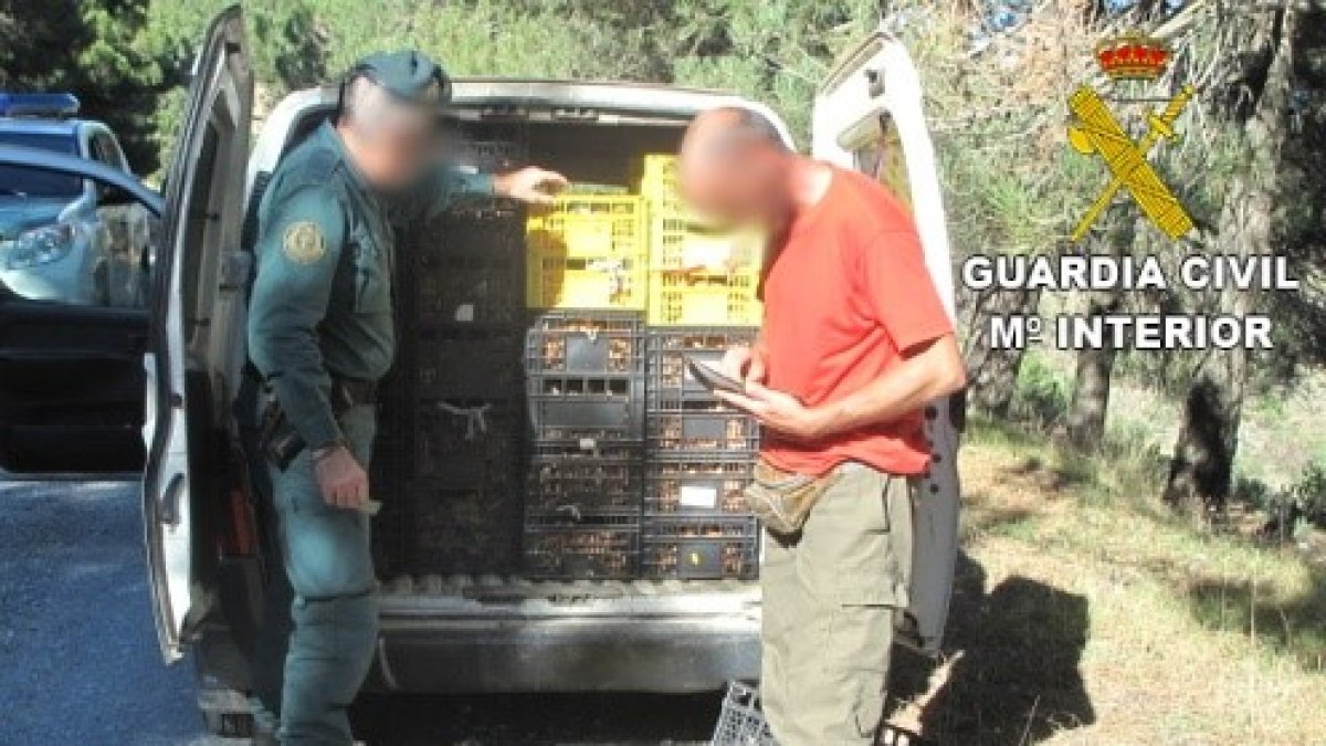 Material incautado por la Guardia Civil.