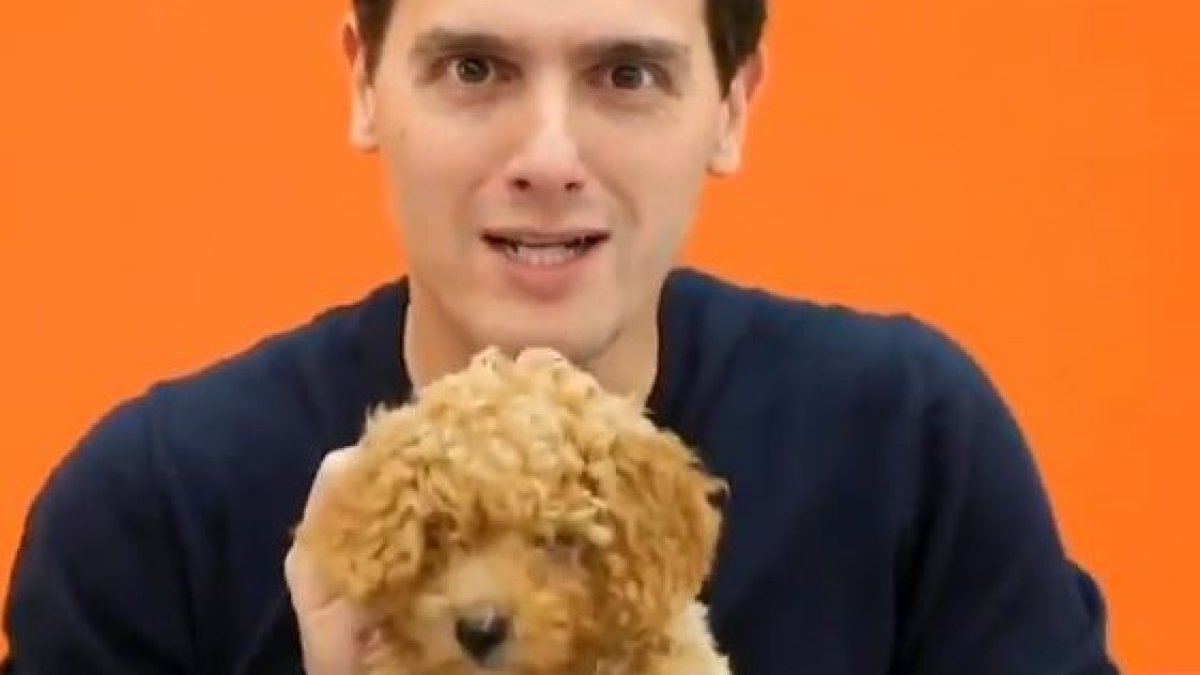 Albert Rivera con su nueva arma electoral.