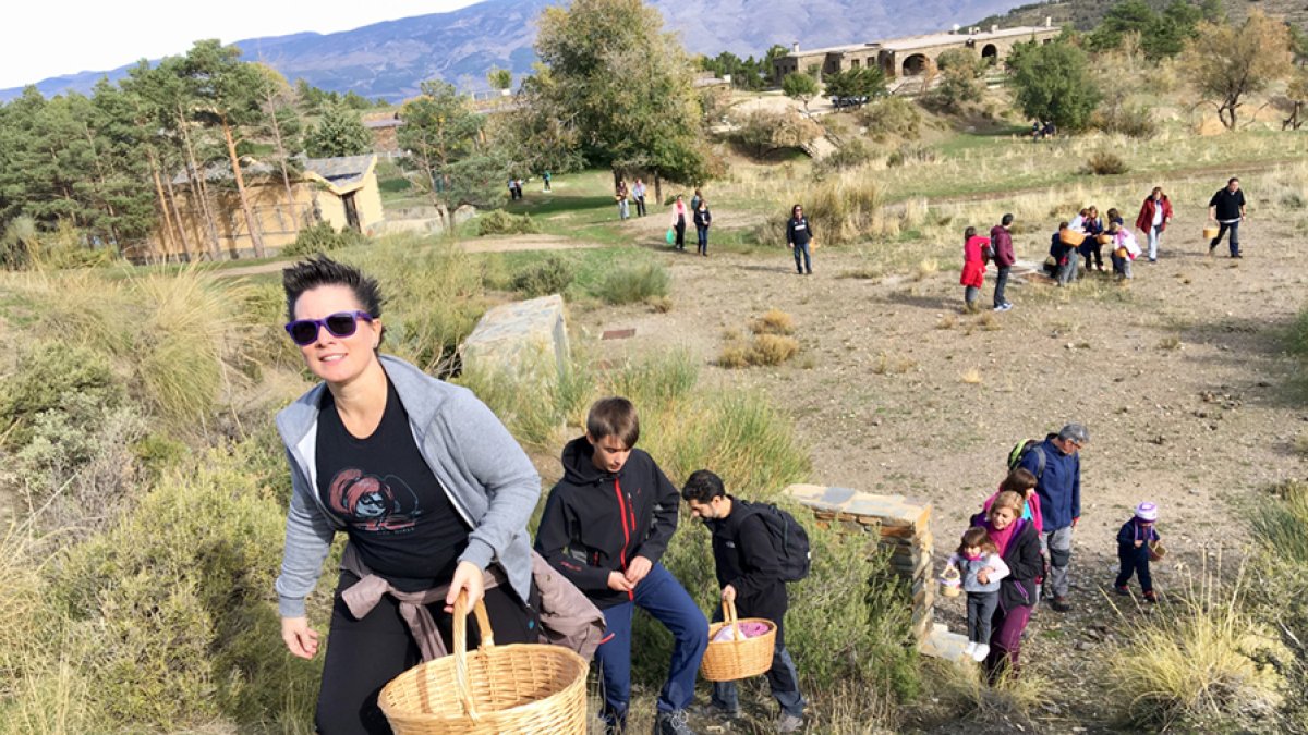 Salida en una edición anterior para recolectar setas.