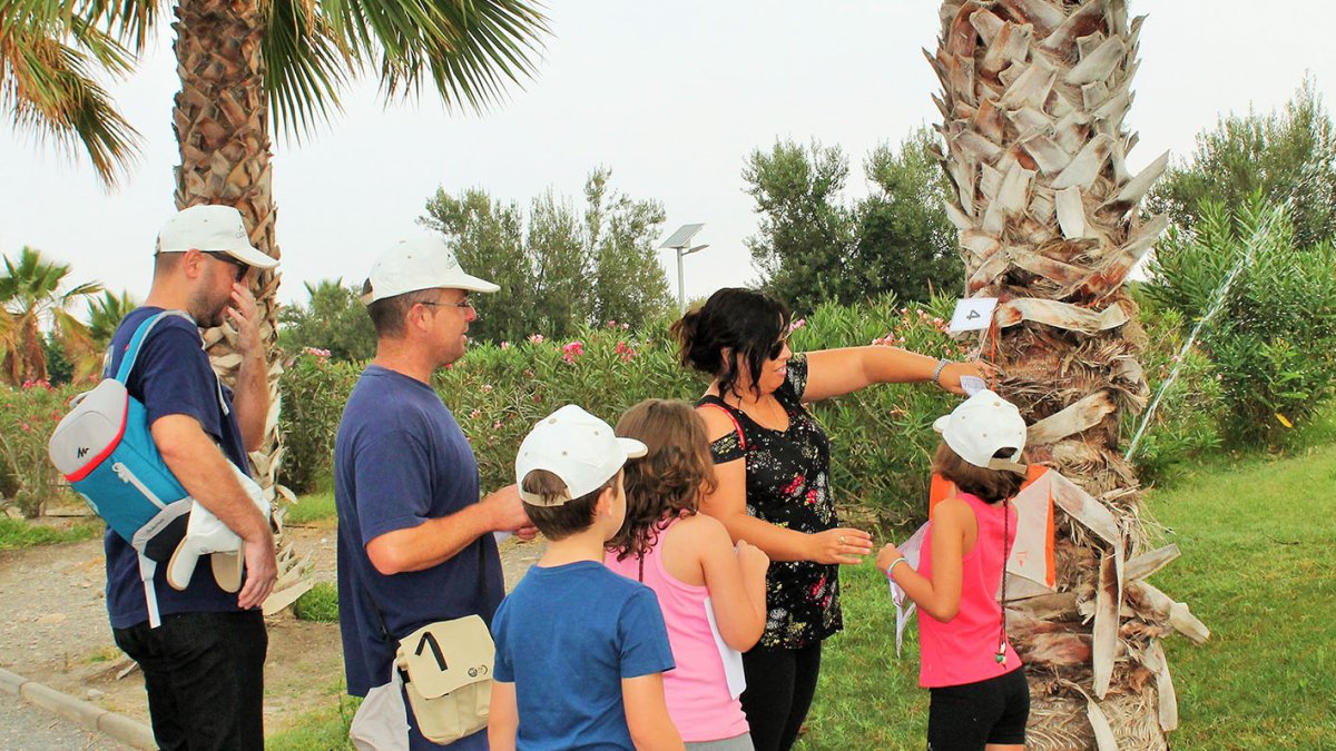 Juegos Deportivos de Orientación.