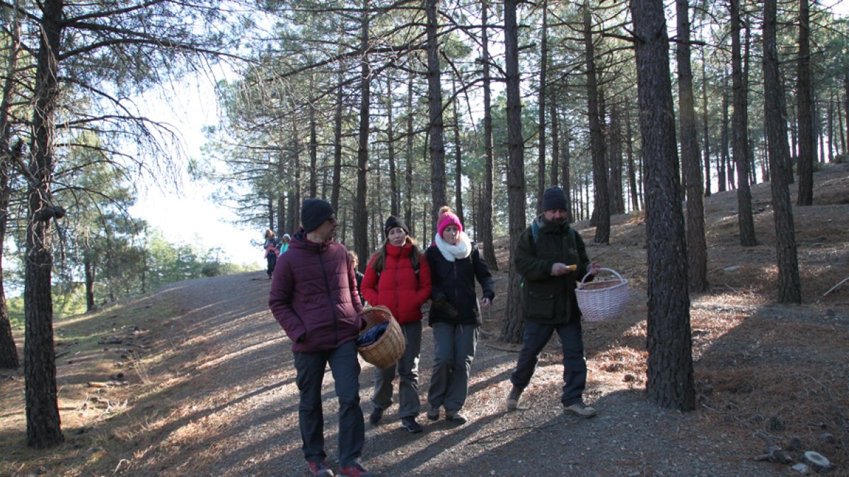 Participantes en la salida al monte para buscar setas.