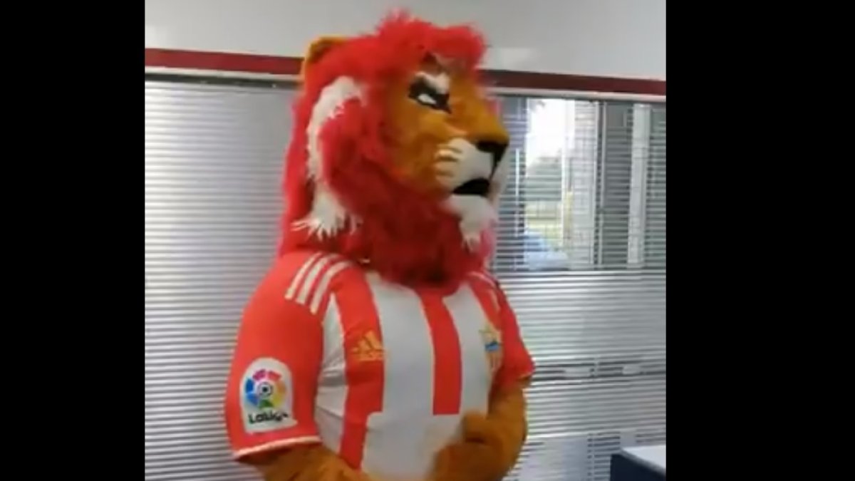 Rozam en los despachos del club este miércoles.