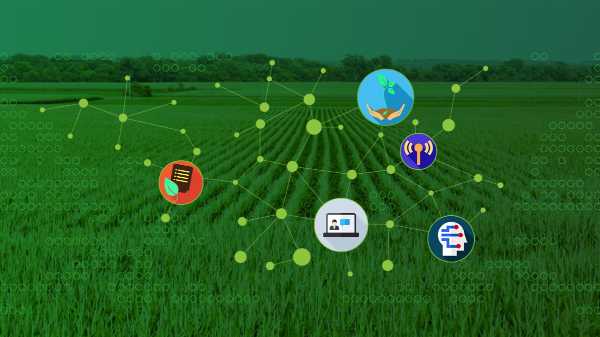 La División de Soluciones Agrícolas de BASF trabaja con agricultores y profesionales del sector agrícola.