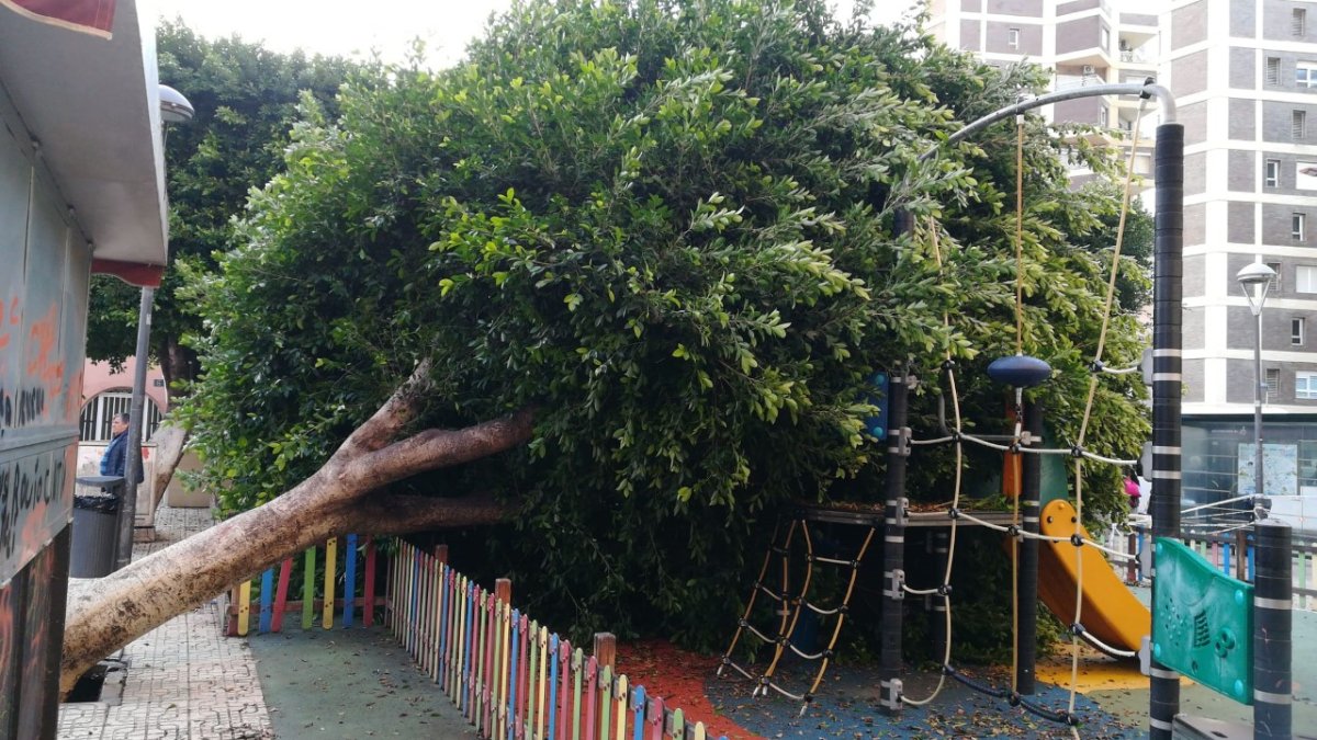 El árbol ha caído sobre un parque infantil.