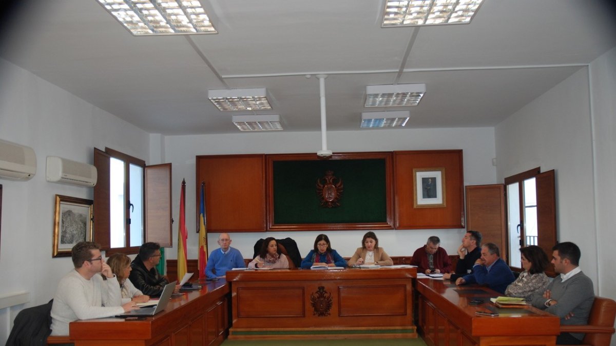 Un instante del último pleno celebrado en Mojácar.