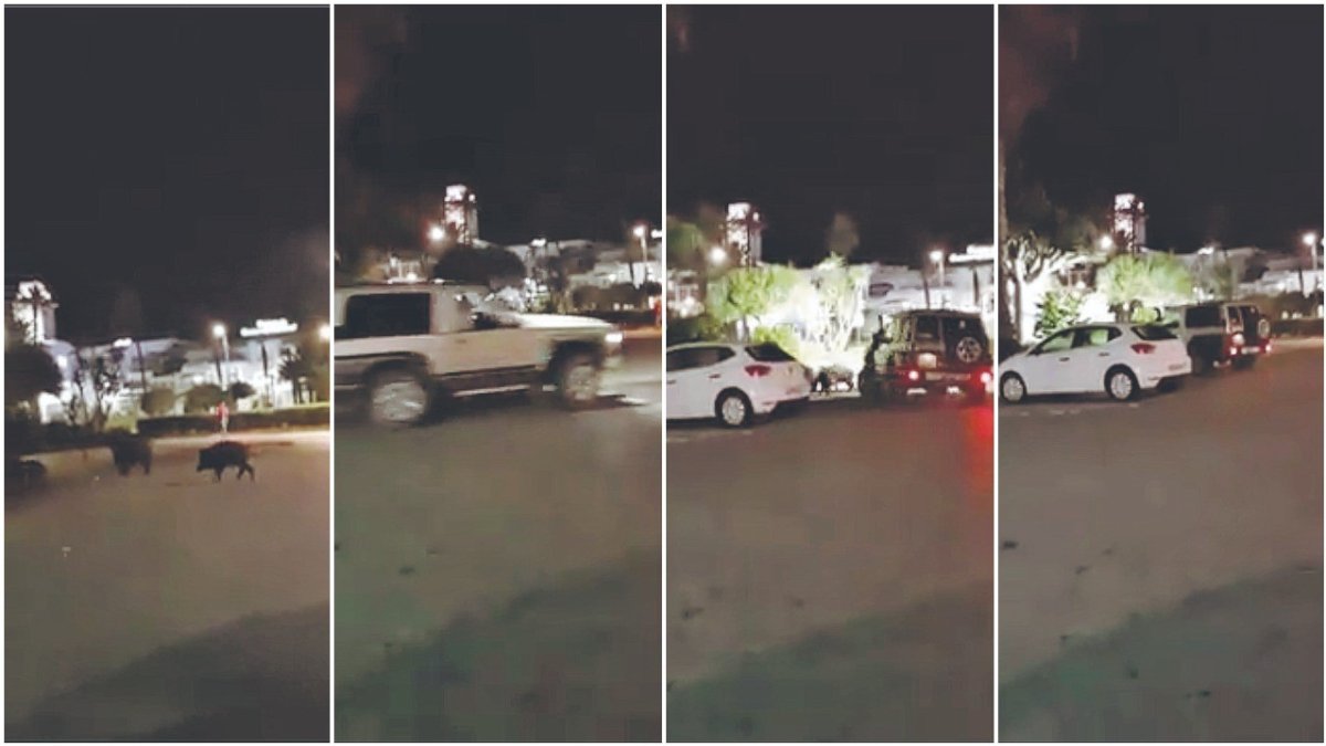 Capturas del vídeo grabado en Mojácar Playa que se convirtió en viral.