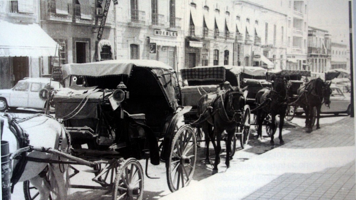 Coches de caballos estacionados en la Rambla Obispo Orberá.