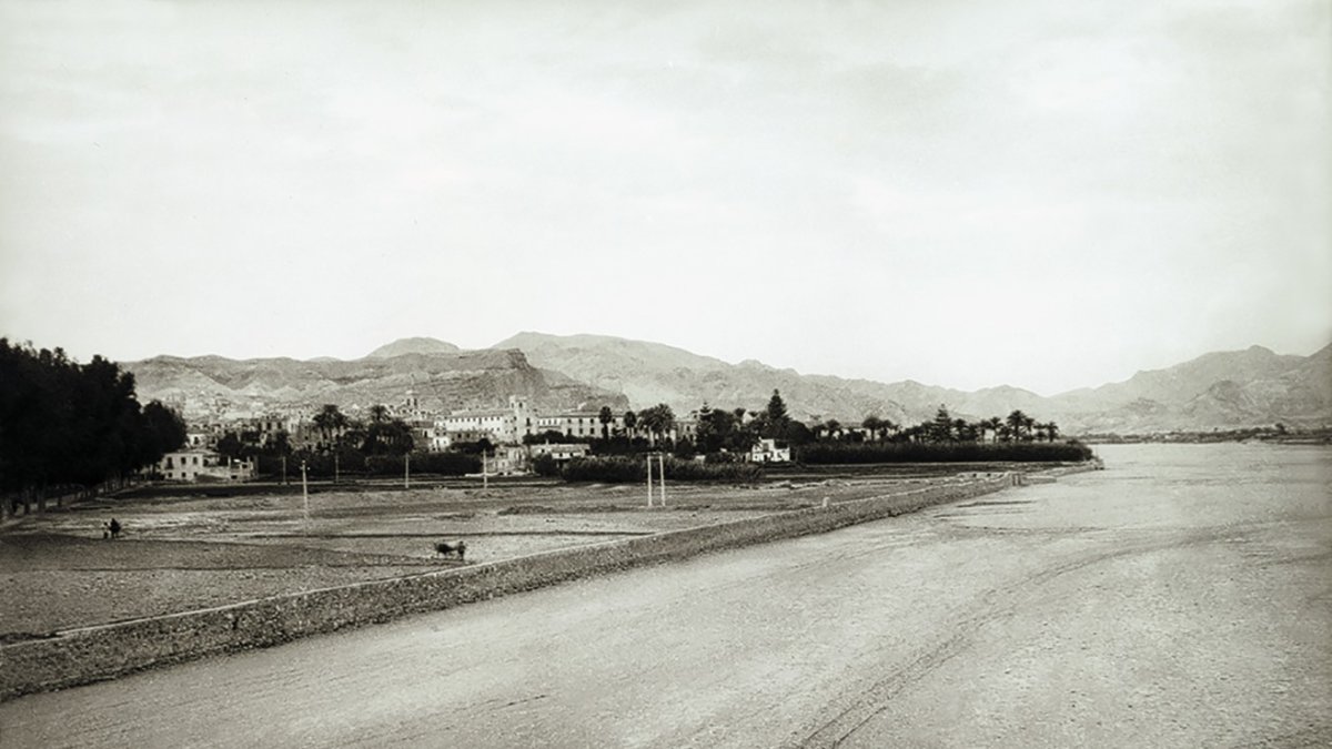 Panóramica de la Vega de Cuevas, con la localidad al fondo.