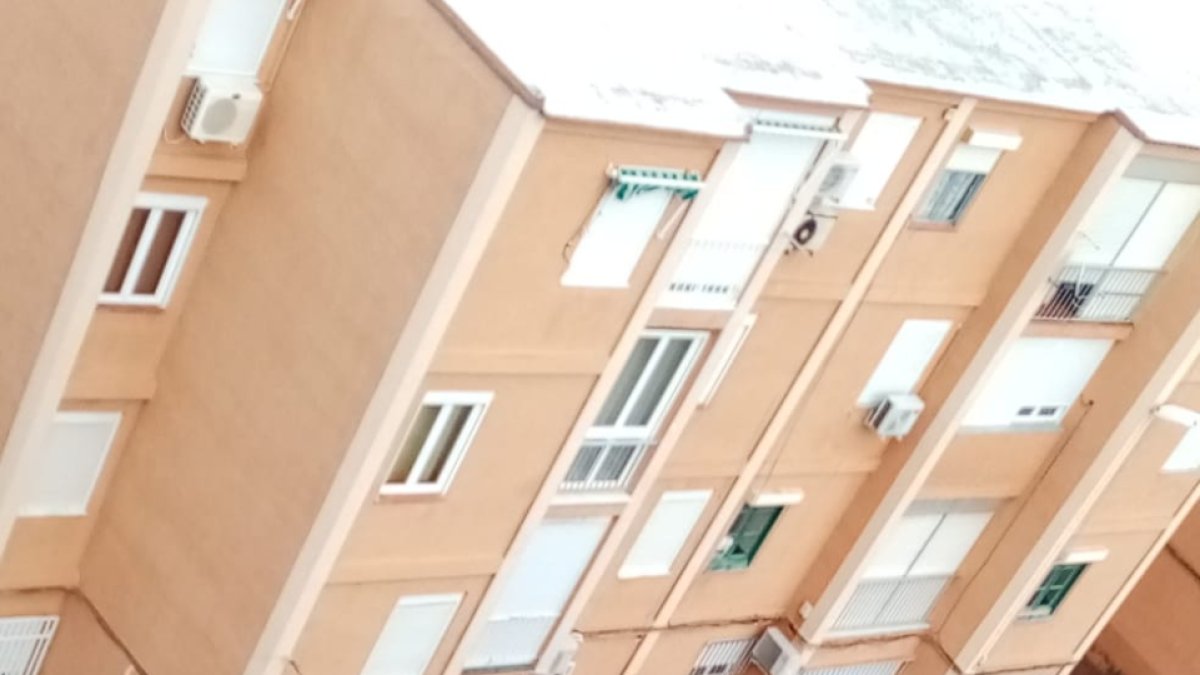 Árboles caídos por la tormenta esta tarde en la Avenida de la Alhambra.