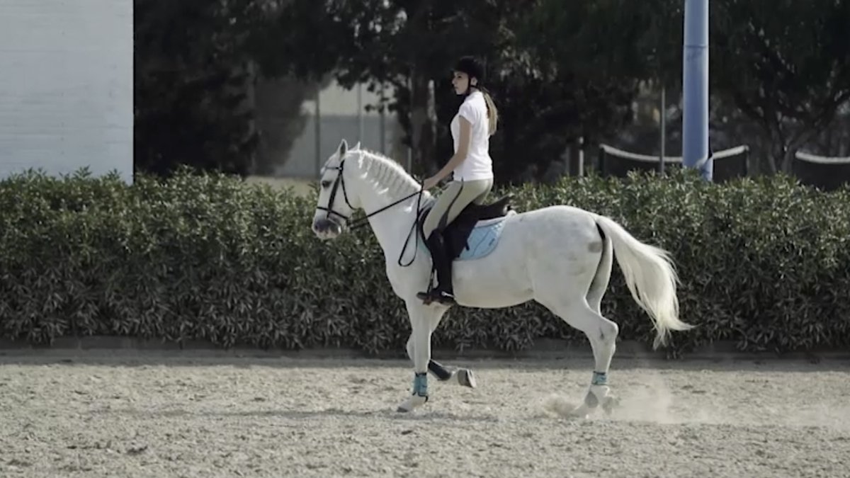 Shara Castillo nos cuenta su experiencia en Qvision