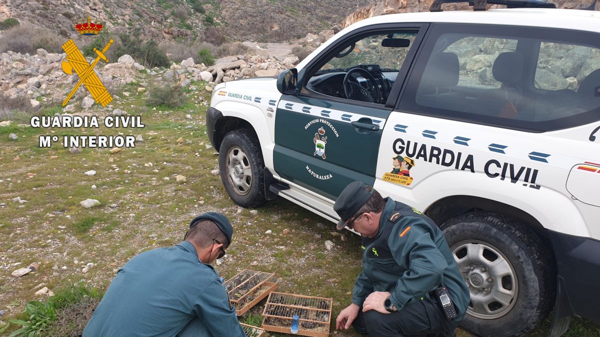 La Guardia Civil con las aves intervenidas.