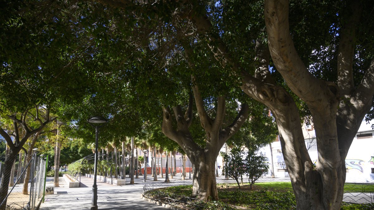 Almería cuenta con más de 52.000 árboles.