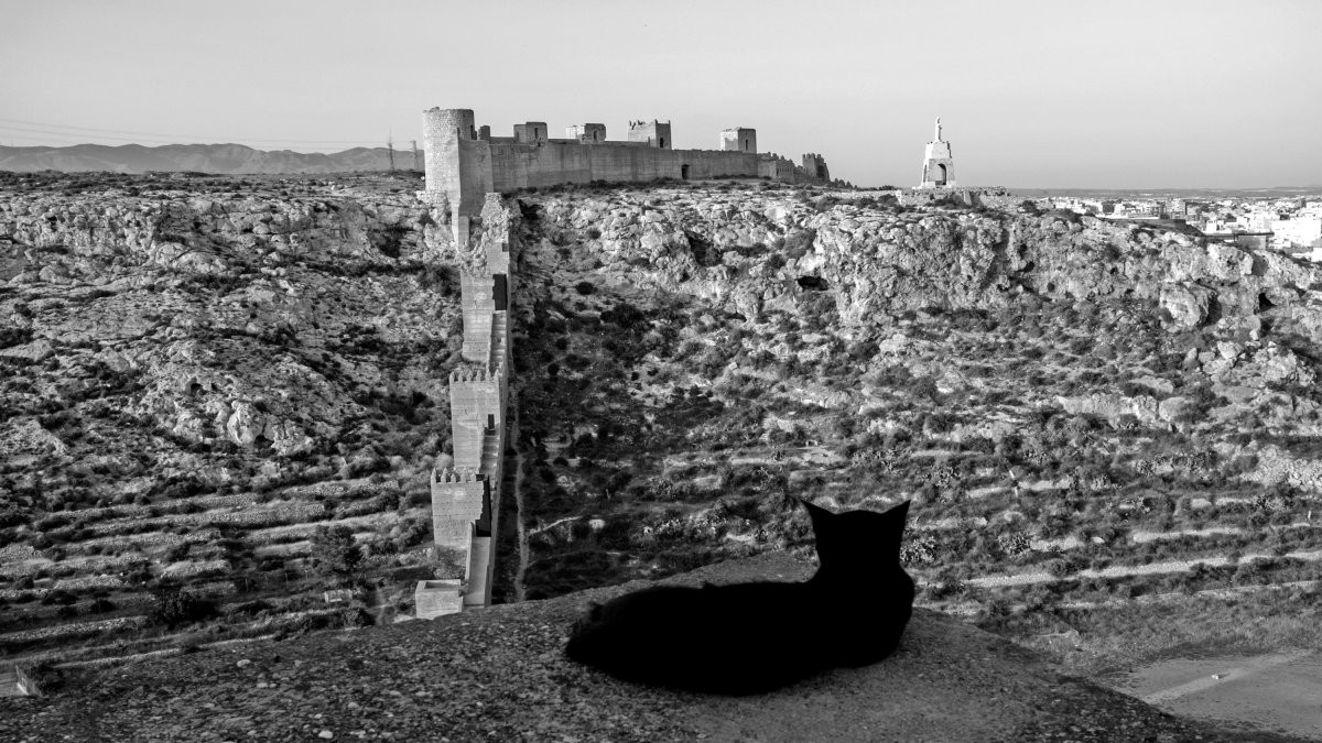 Un gato negro observa plácidamente la Alcazaba.