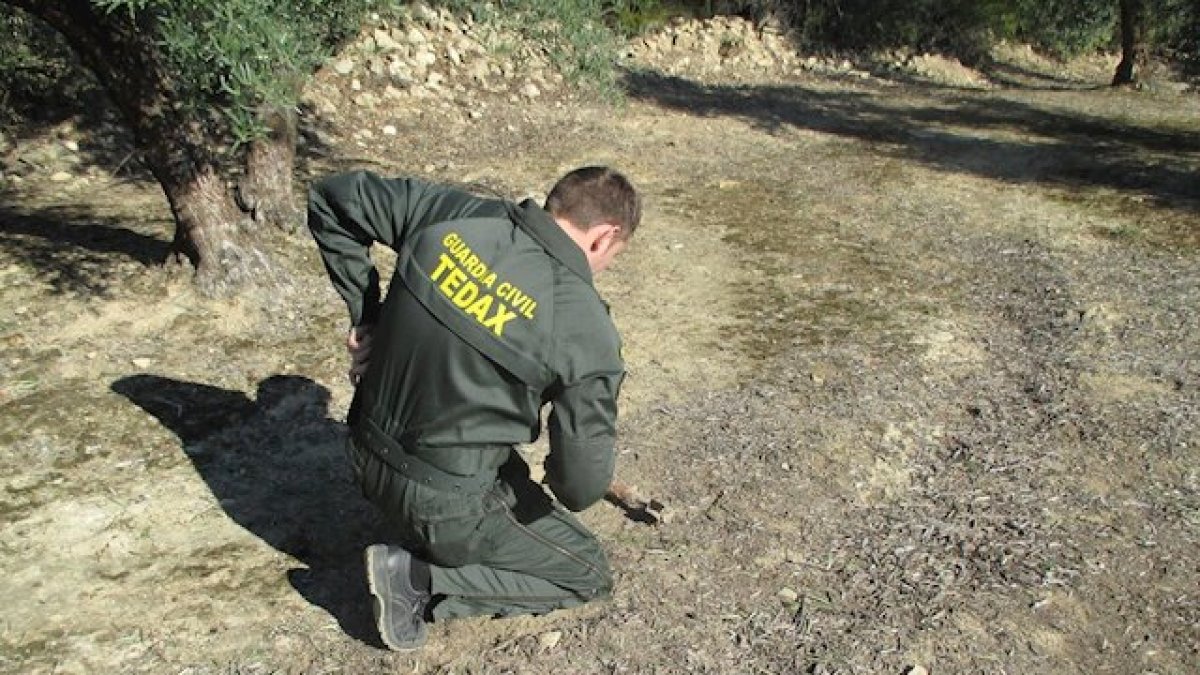 Imagen de archivo de un agente Tedax en una operación.