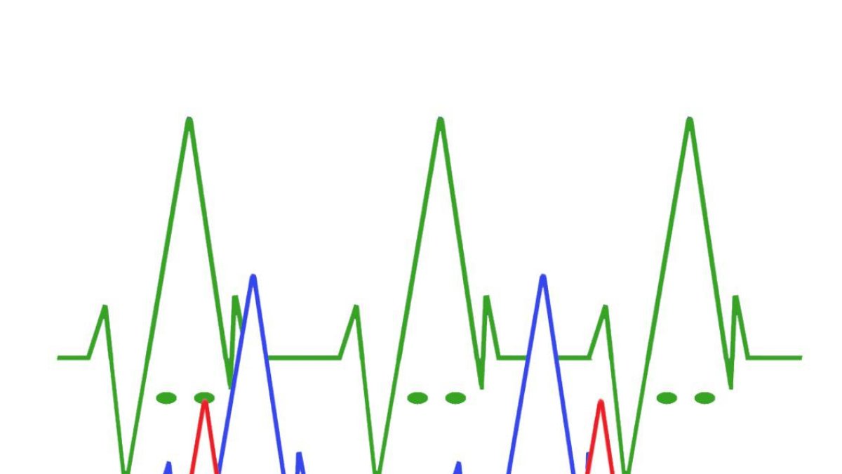 Cartel del curso organizado por la Agrupación.