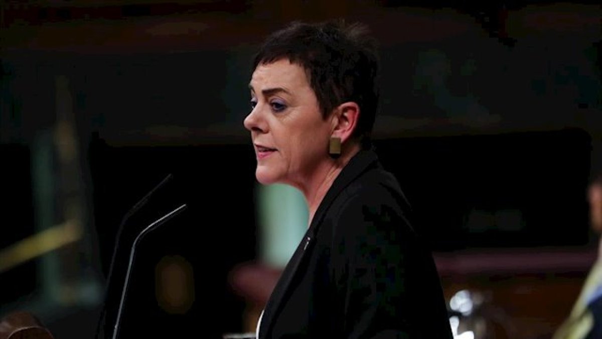 Mertxe Aizpurua durante su intervención en el Congreso de los Diputados.