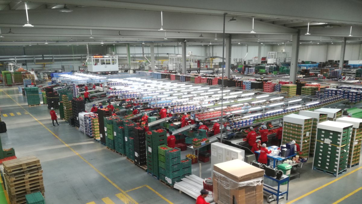 El sector hortofrutícola goza de buena salud en la provincia.
