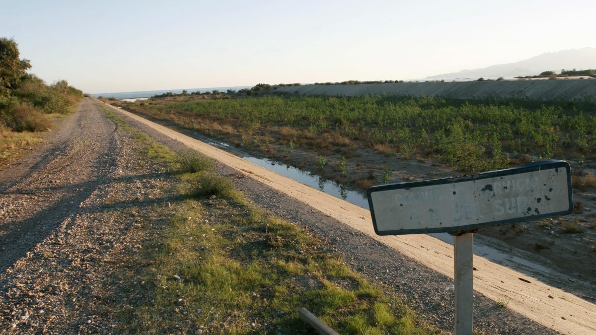 Este año 2020 se cumple el 54 aniversario del suceso que ha marcado, desde entonces, el futuro de Palomares.