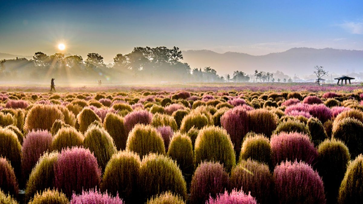 Imagen de Corea del Sur. Foto de Fitur.